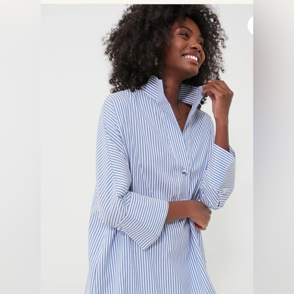 Tuckernuck Blue Stripe Willow Blouse. V-neck. Stand up collar. Classic. XS - Picture 4 of 8